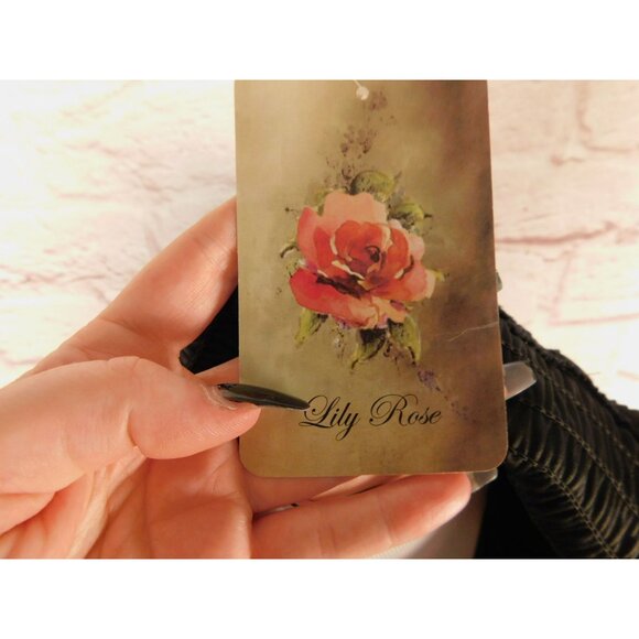 Lily Rose Black Sleeveless Chiffon Sweetheart Dress Jr XS NWT - Picture 10 of 12